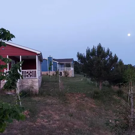 Deniz Ve Ormanla Basbasa Kalabileceginiz Biryer בית נופש
