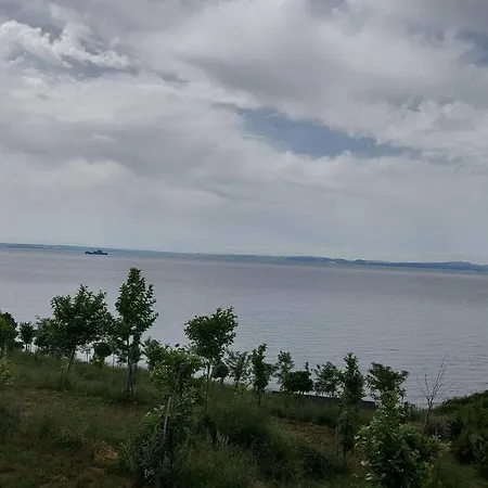 Deniz Ve Ormanla Basbasa Kalabileceginiz Biryer *