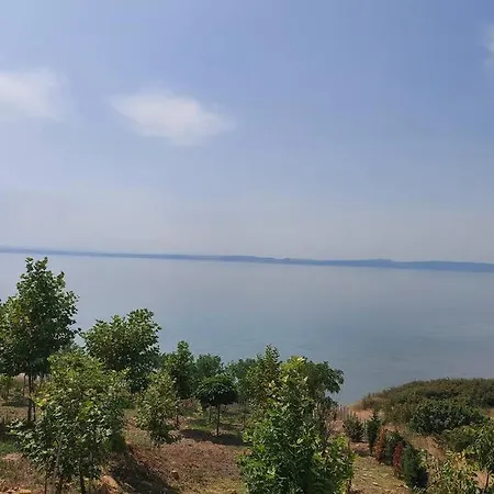 Deniz Ve Ormanla Basbasa Kalabileceginiz Biryer *